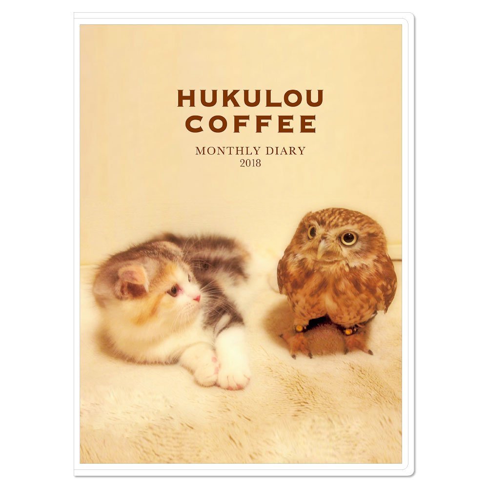 可愛さ世界レベル！【HUKULOU COFFEEのフクマリ】フクロウカフェ＃猫